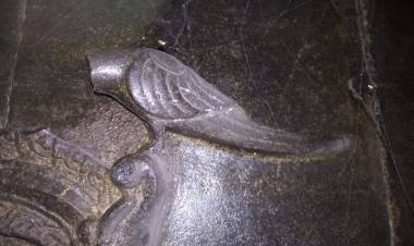 தலை இழந்த கிளி