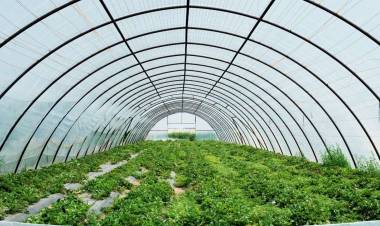 Indian agri-tech space saw ₹6,600 crore PE funding in 4 years