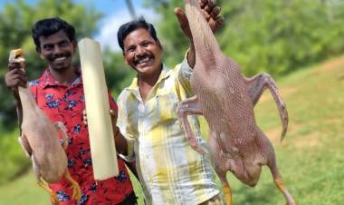 கலைஞர் டிவியில் மண்மனம் மாறாத  "கற்றது சமையல்"