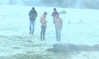 உதகையில் நீடிக்கும் உறைப்பனி பொழிவு - சமவெளி பகுதியில் ஜீரோ டிகிரி வெப்பநிலை பதிவு