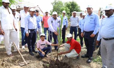 70,000+ trees in 1 hour: Tata Chemicals sets a goal to preserve the environment