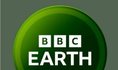 One World, Many Frames: winners of Sony BBC Earth's photography contest announced