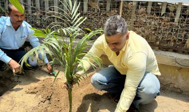 DLF Mall of India Celebrates World Environment Day