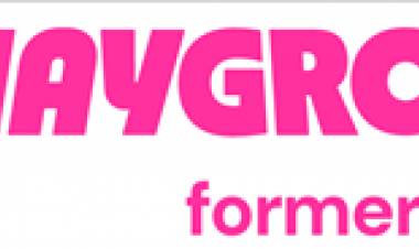 Quizizz Becomes Wayground: Announces New AI and Curriculum Supports