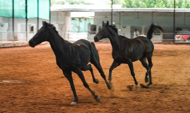 Alive Launches in Hyderabad, Records Strong Early Traction Since October 2025