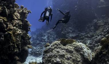 PADI becomes the first diver training organisation to offer training materials in Hindi