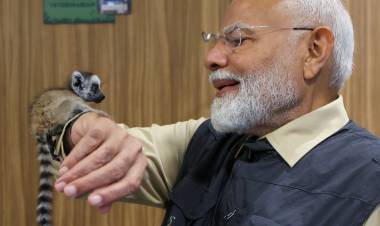 VANTARA FOUNDATION DAY: ONE YEAR AFTER INAUGURATION BY PRIME MINISTER NARENDRA MODI, MANY ANIMALS RESTORED TO HEALTH AND RETURNED TO THE WILD