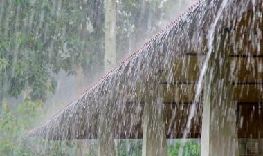 தமிழகத்தில் 3 நாட்களுக்கு மழை பெய்ய வாய்ப்பு – வானிலை ஆய்வு மையம் தகவ