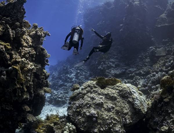 PADI becomes the first diver training organisation to offer training materials in Hindi