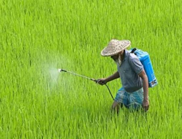Centre issues draft notification to ban paraquat herbicide