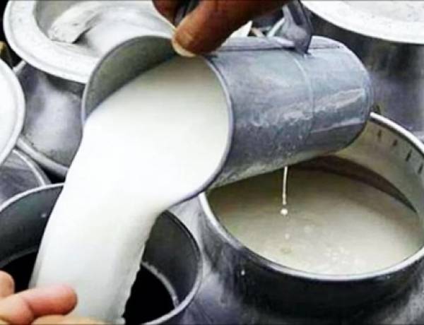Milk prices set for another increase as dairy costs climb