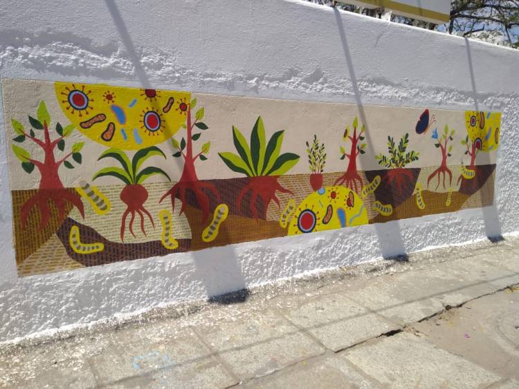 The Department of Fine Arts, Stella Maris College, has completed mural paintings on the campus walls.