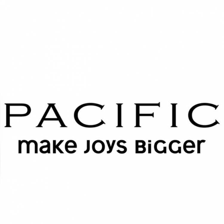 NCR’s first Apple Flagship Premium Reseller store opens at Pacific Mall, Tagore Garden