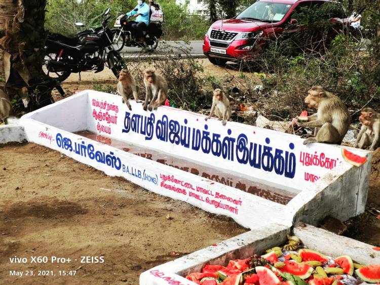 குரங்குகளுக்காக தண்ணீர் தொட்டி & உணவுப்பொருட்கள் வழங்கிய புதுக்கோட்டை மாவட்ட தளபதி விஜய் மக்கள் இயக்கம்!