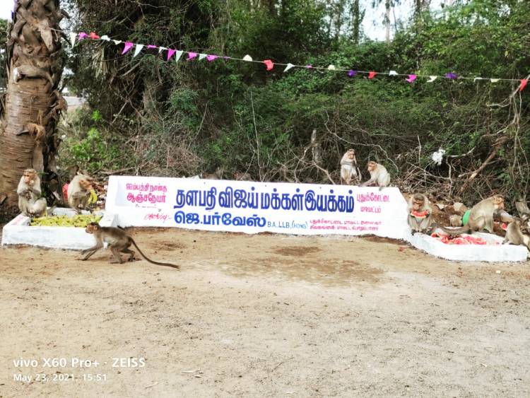 குரங்குகளுக்காக தண்ணீர் தொட்டி & உணவுப்பொருட்கள் வழங்கிய புதுக்கோட்டை மாவட்ட தளபதி விஜய் மக்கள் இயக்கம்!