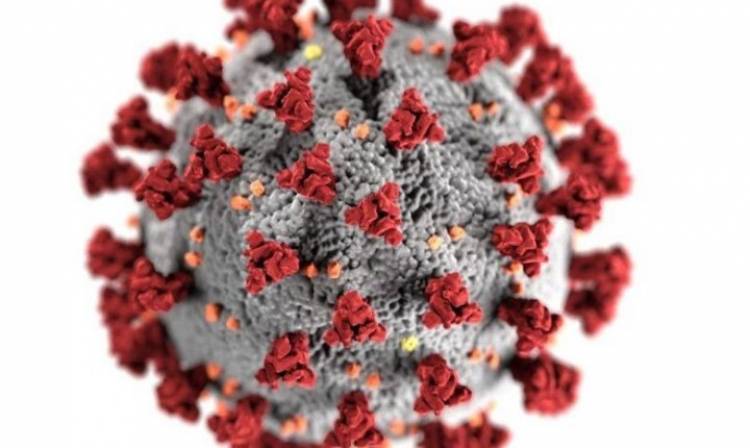 ஜப்பானில் கோவிட் தொற்று