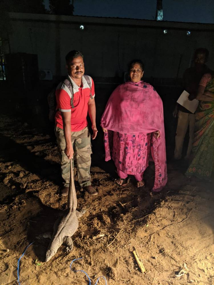 கர்ப்பம் தரித்த உடும்பை வனவிலங்கு அதிகாரிகளிடம் ஒப்படைத்த தயாரிப்பாளர் உஷா ராஜேந்தர்