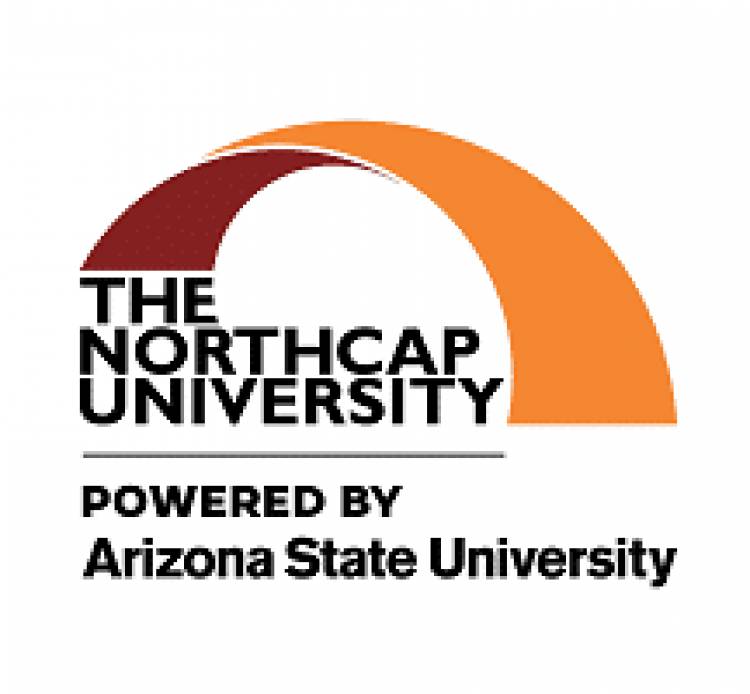 The NorthCap University’s Pro-Chancellor conferred with the prestigious ‘The Great Indian Teacher Award’ at LEAD Global Conclave 2021