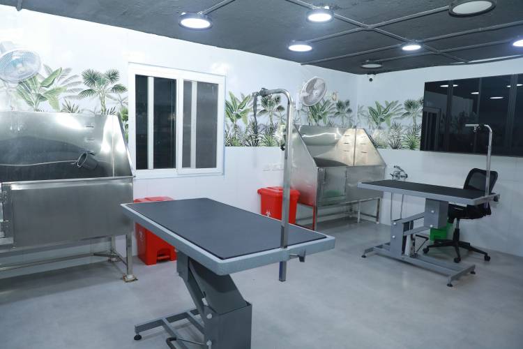 SANCHU Animal Hospital extends its world-class pet care services in the city through this branch launch