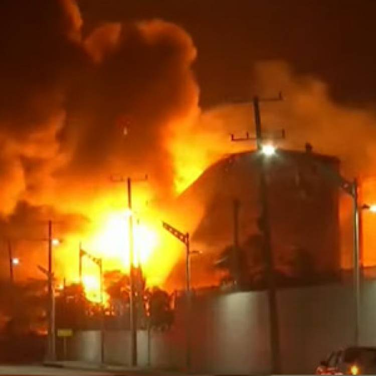 சென்னை பட்டினப்பாக்கம் போர்ஷோர் எஸ்டேட் பகுதியில் உள்ள குப்பைகள் கொட்டும் இடத்தில் தீ விபத்து