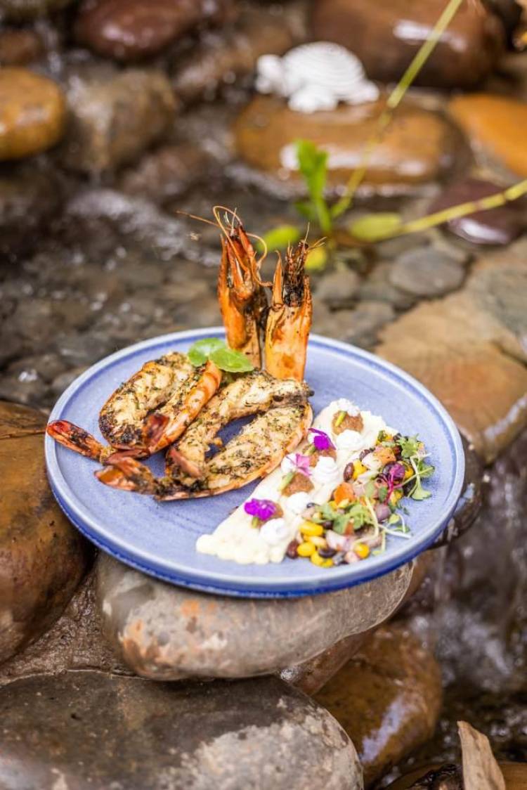 Miss Margarita comes to Goa