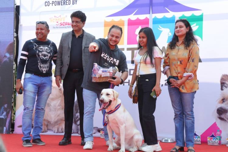 India's biggest Dog and Cat Show: PetGala Delhi organised  at Noida Expo Centre in Delhi-NCR