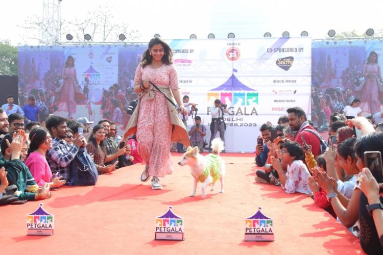 India's biggest Dog and Cat Show: PetGala Delhi organised  at Noida Expo Centre in Delhi-NCR