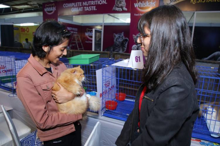 India's biggest Dog and Cat Show: PetGala Delhi organised  at Noida Expo Centre in Delhi-NCR