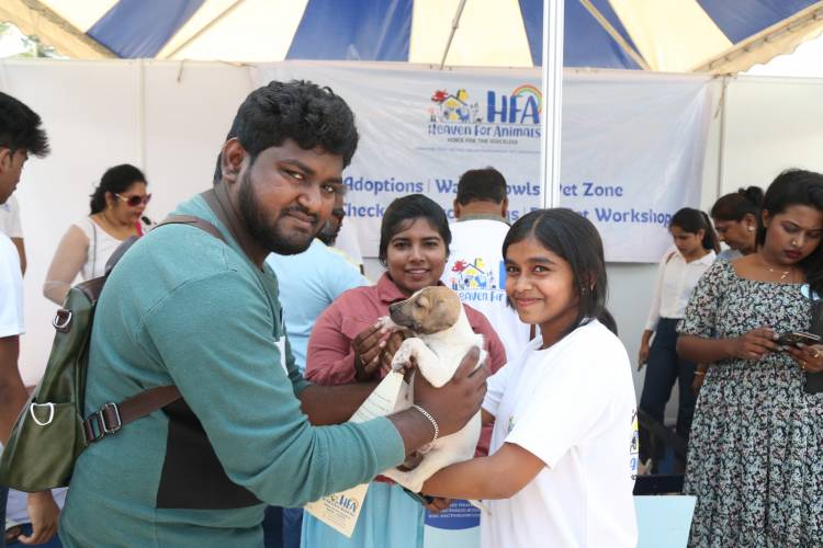 HEAVEN FOR ANIMALS CONDUCTS A MEGA VACCINATION DRIVE FOR  1100 STRAY DOGS IN CHENNAI