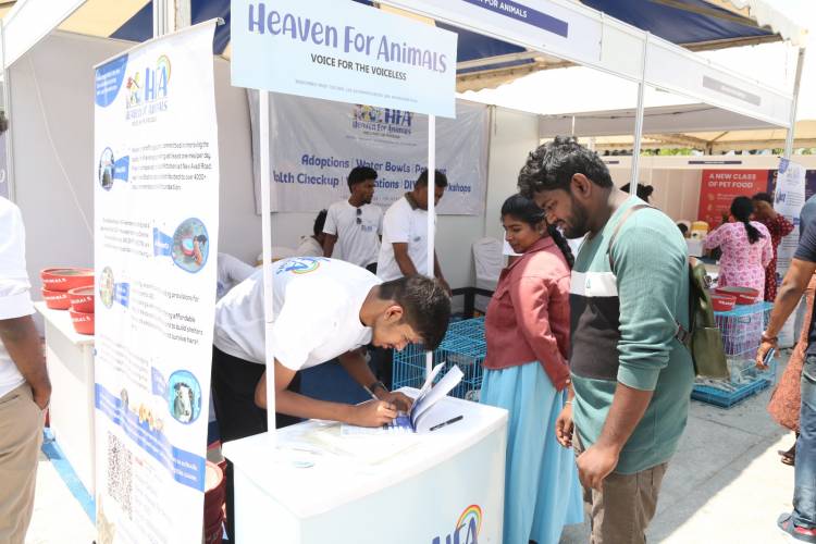 HEAVEN FOR ANIMALS CONDUCTS A MEGA VACCINATION DRIVE FOR  1100 STRAY DOGS IN CHENNAI