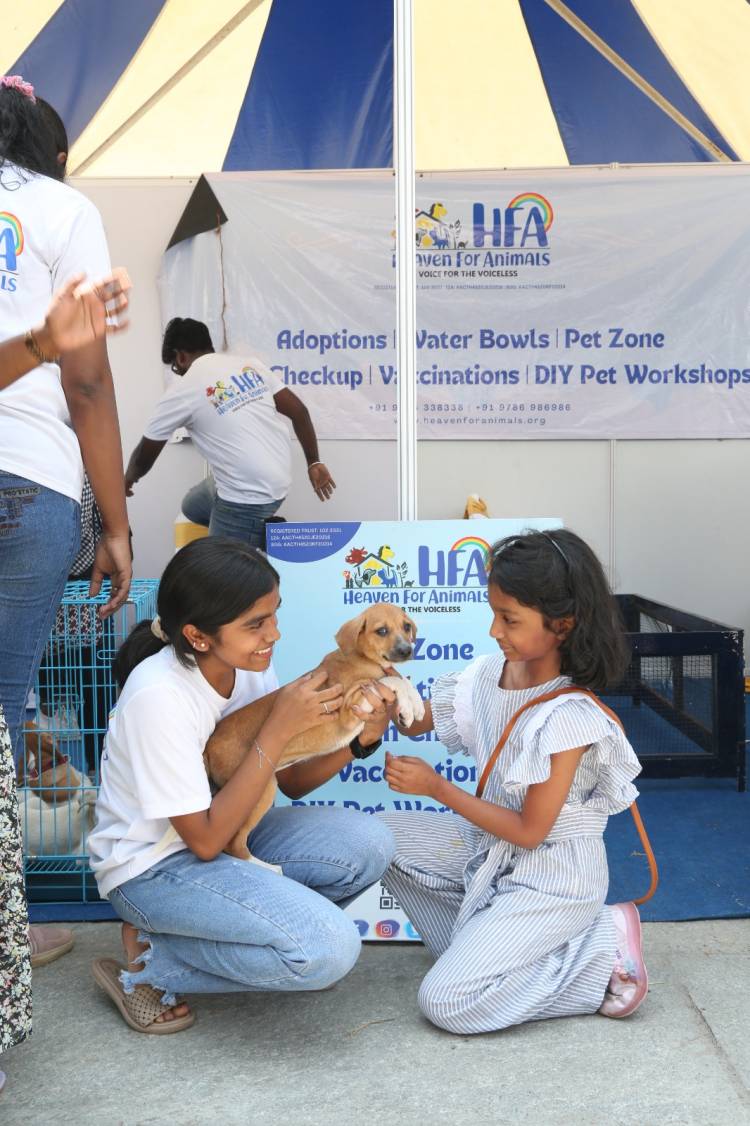 HEAVEN FOR ANIMALS CONDUCTS A MEGA VACCINATION DRIVE FOR  1100 STRAY DOGS IN CHENNAI