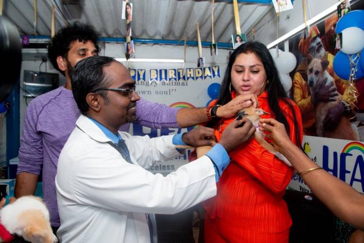 Actress Namitha celebrates her birthday with furry friends at HEAVEN FOR ANIMALS (HFA), Anna Nagar
