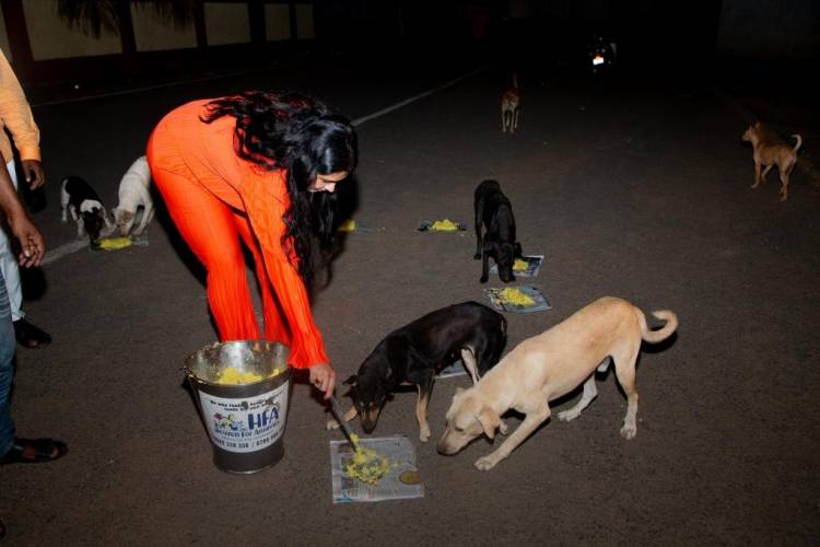 Actress Namitha celebrates her birthday with furry friends at HEAVEN FOR ANIMALS (HFA), Anna Nagar