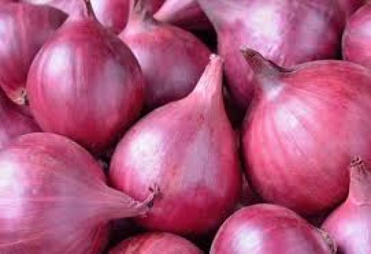 வெங்காய ஏற்றுமதி மீதான தடை நீட்டிப்பு