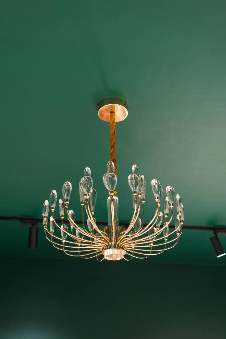 Elevate Your Home for the New Year with Rare Lily’s Exquisite Décor