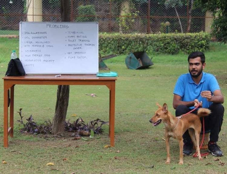 K9 School Launches National Dog Bite Prevention & Reduction Campaign