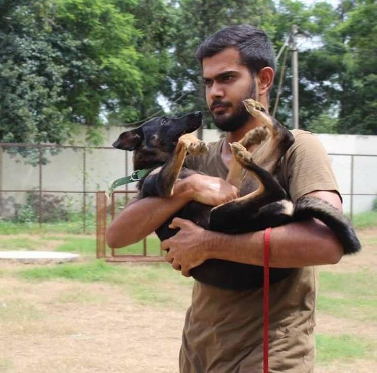 K9 School Launches National Dog Bite Prevention & Reduction Campaign