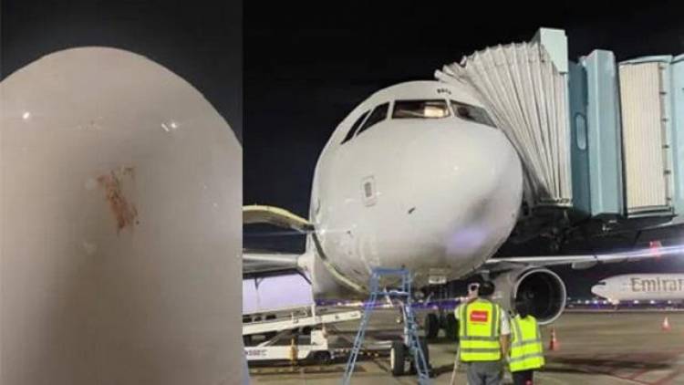 Air Arabia Flight Lands safely after bird strike