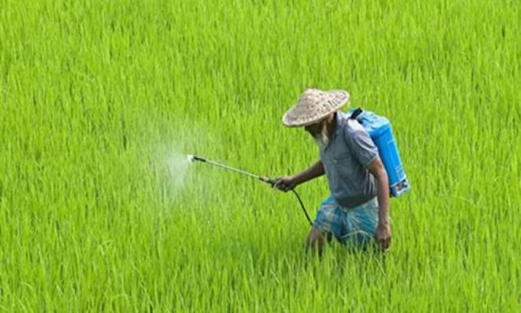 Centre issues draft notification to ban paraquat herbicide